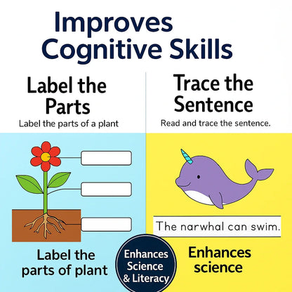 Age 5+ Brain Booster Worksheets (350+ Activities) - Ambition Kids